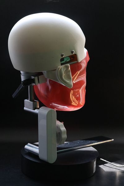 Фантом стоматологический (крепления на установку) 1491345019 фото